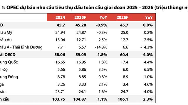 Bất chấp triển vọng giá dầu xấu đi năm 2025, các doanh nghiệp dầu khí trong nước vẫn có lãi